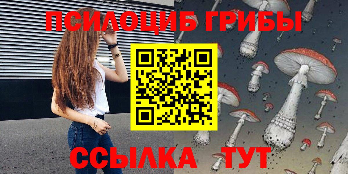 Псилоцибиновые грибы GOLDEN TEACHER Рубцовск